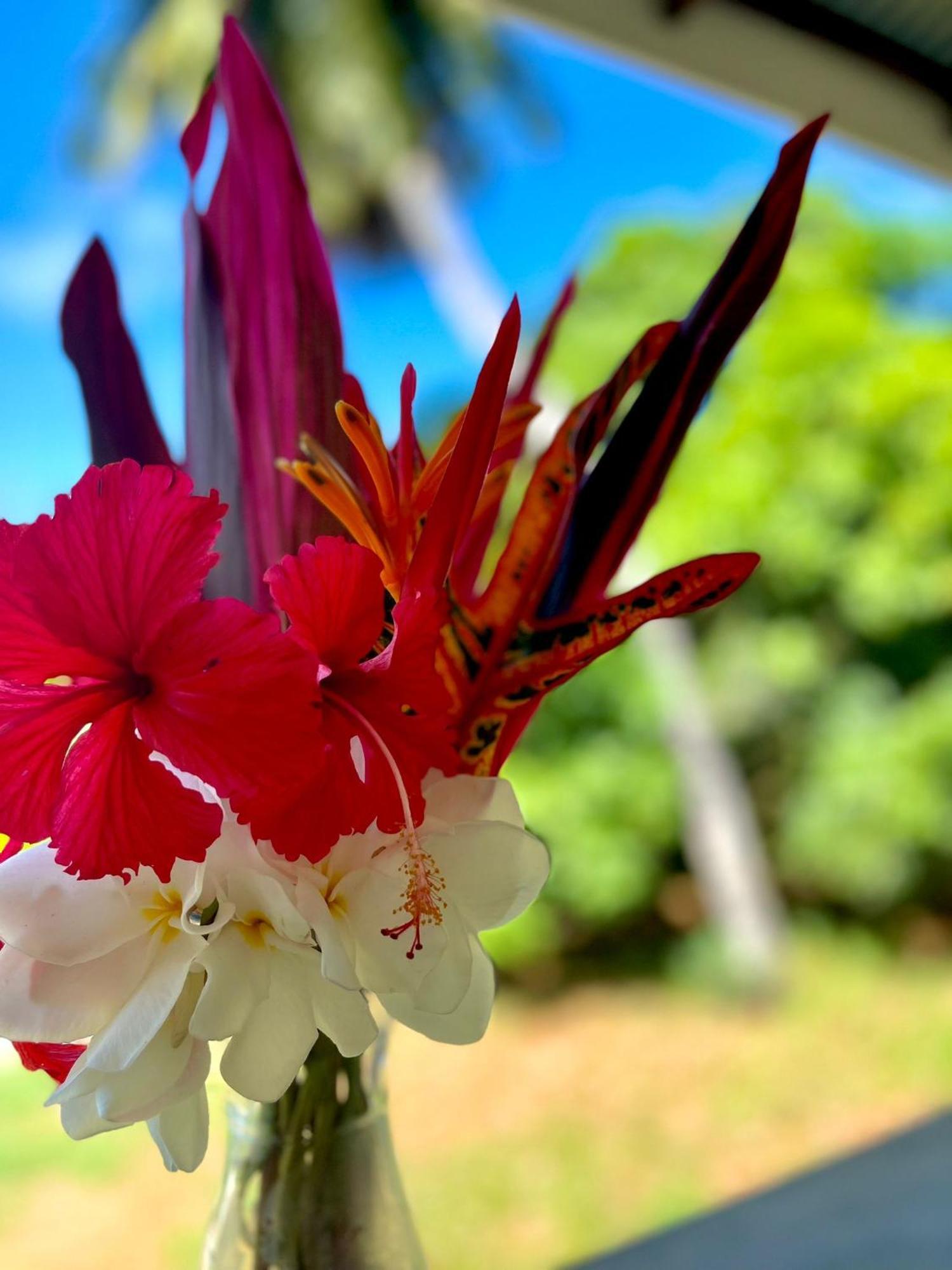 The Songbird Villa Pointe Au Sel Ngoại thất bức ảnh